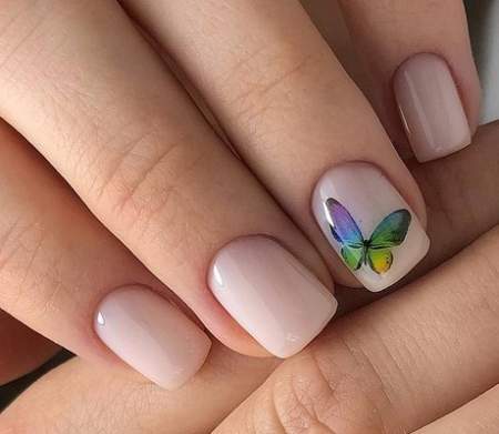 бабочка на ногтях